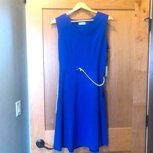 Calvin Klein A line dress Sz 12